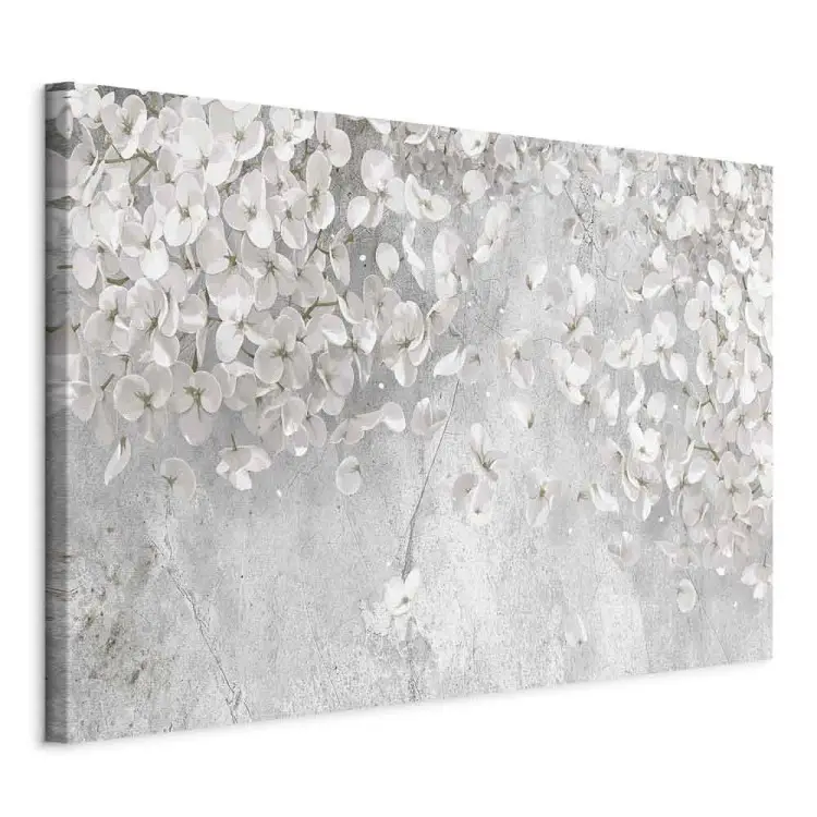 White Flowers - white plants on a gray stone background