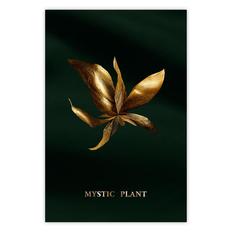 Poster Shimmering Plant - Flower on a Green Silky Background