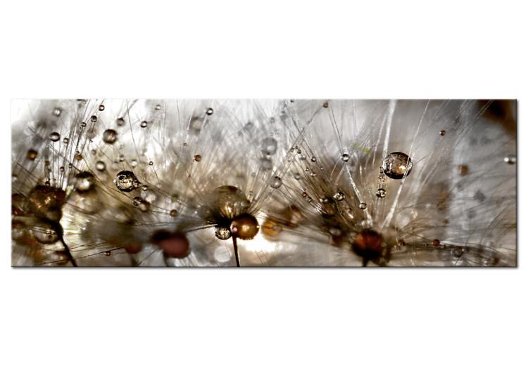 Large canvas print Drops of Water III [Large Format]