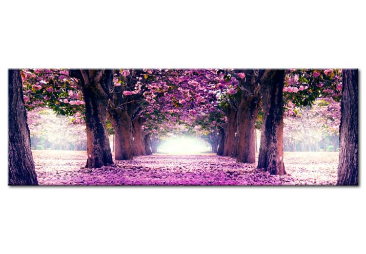 Large canvas print Purple Spring III [Large Format]