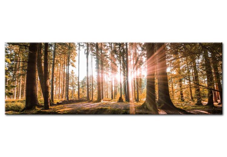 Large canvas print Small Natural Wonders III [Large Format]