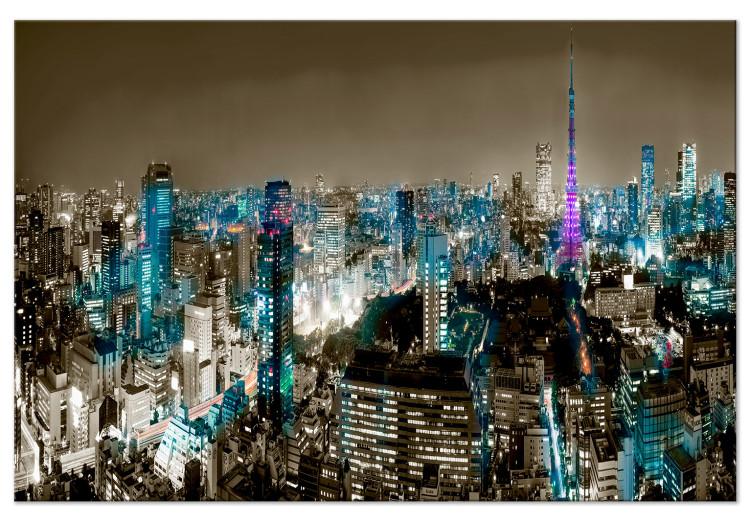 Large canvas print Tokyo Panorama [Large Format]