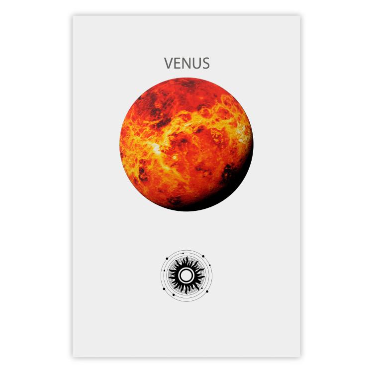 Poster Venus  - The Brightest Planet in the Solar System II