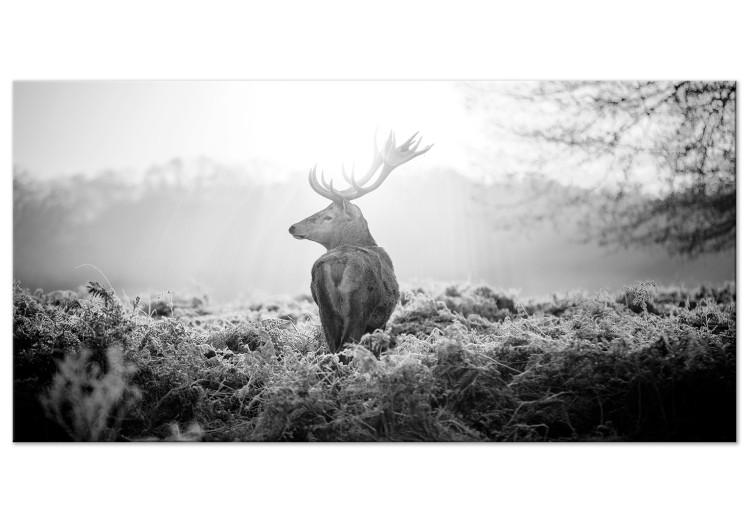 Large canvas print Field Guard II [Large Format]