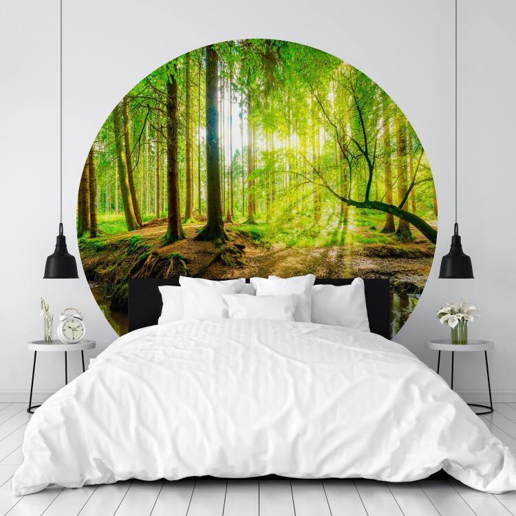 Round wallpaper Forest Pond - Colorful Water Among Green Trees and Vegetation