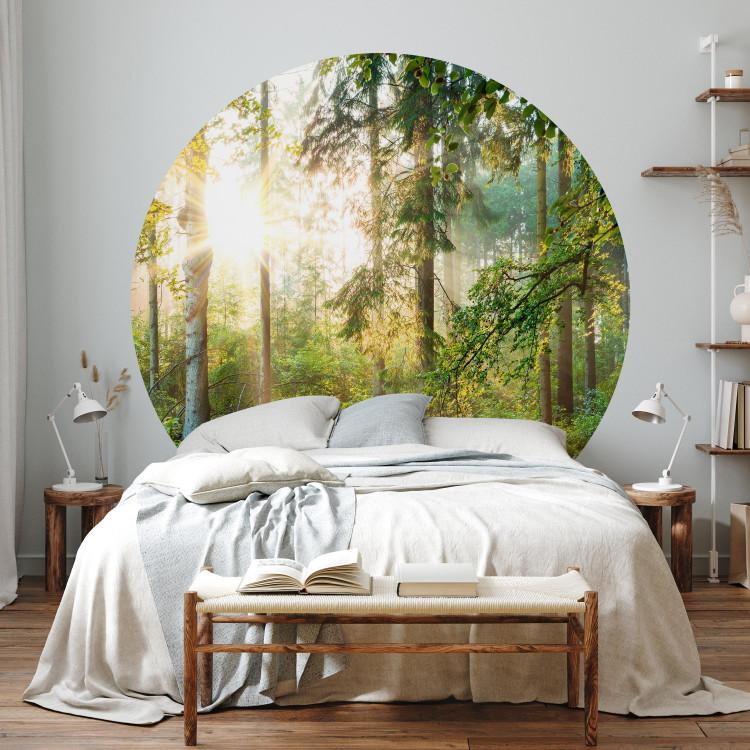 Round wallpaper Lush Forest - Tall Trees in the Rays of the Rising Sun