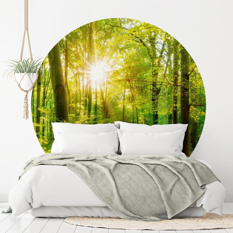 Round wallpaper Deciduous Forest - Spectacular Sunrise Between the Trees