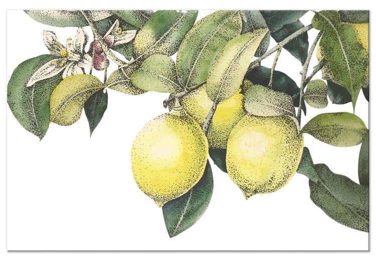 Canvas Print Lemons and Leaves (1-piece) - colorful citrus fruits on a tree
