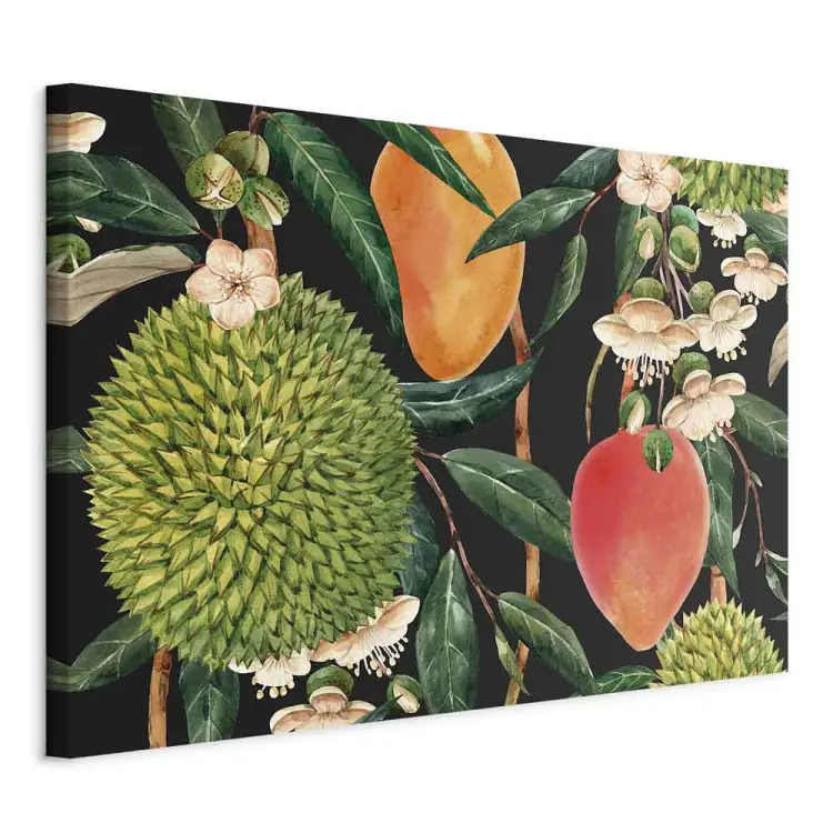 Exotic Fruits - tropical plants on a black background