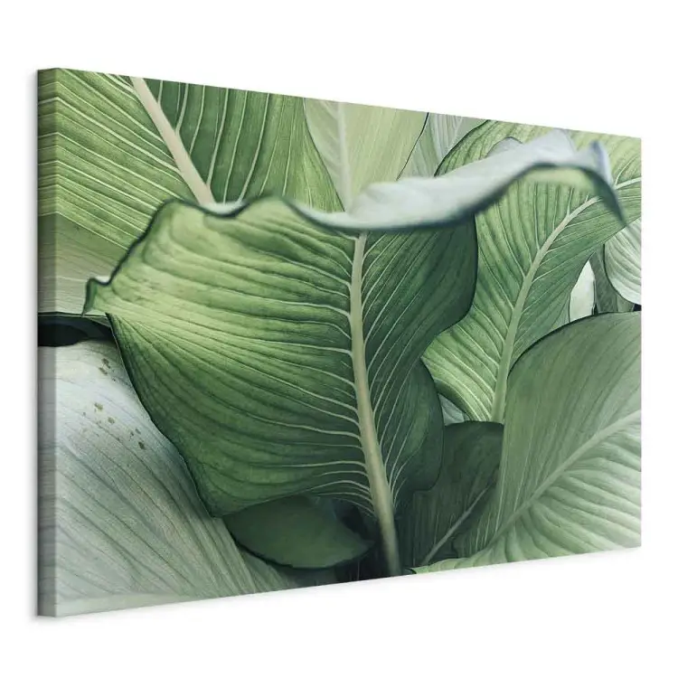 Nature Up Close - landscape with large exotic leaves