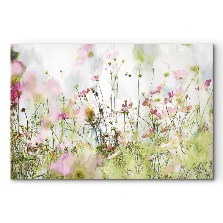 Canvas Print Colorful Meadow - Field Vegetation in Spring Bright Glow