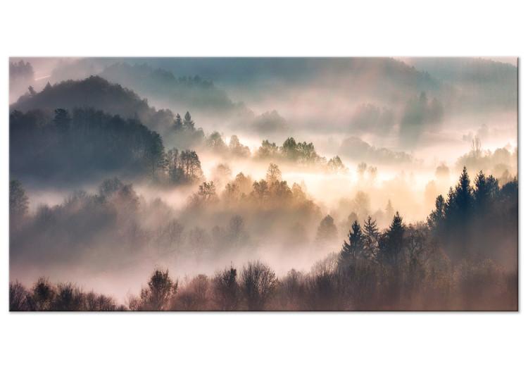 Canvas Print Forest in the Fog - Mountainous Landscape With Trees at Sunrise