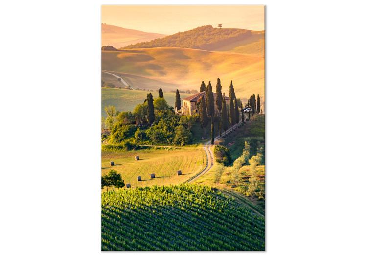 Canvas Print Sunny Fields of Tuscany - Landscape Photography at Sunset
