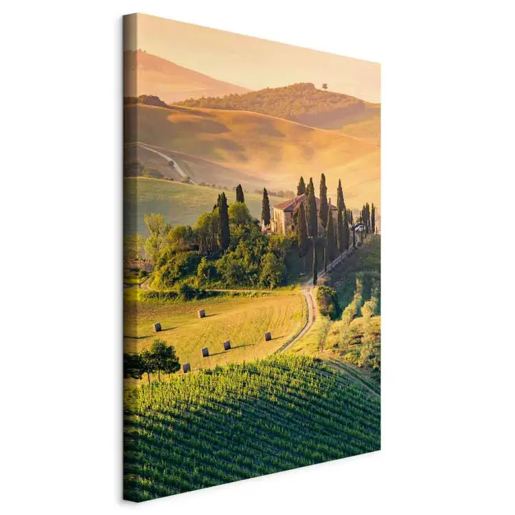 Sunny Fields of Tuscany - Landscape Photography at Sunset