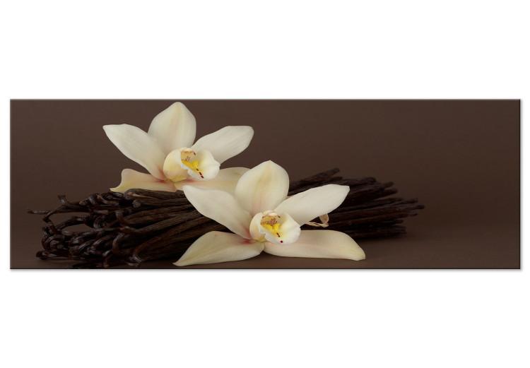 Canvas Print Orchid With Vanilla (1 Part) Narrow