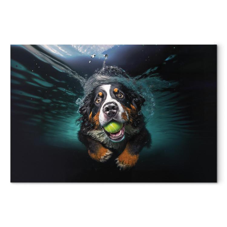 Canvas Print AI Bernese Mountain Dog - Floating Animal With a Ball in Its Mouth - Horizontal
