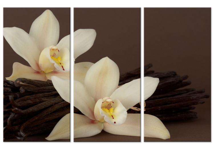 Canvas Print Orchid With Vanilla (3 Parts)