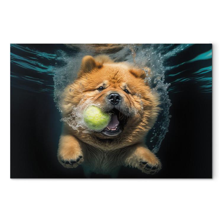 Canvas Print AI Dog Chow Chow - Floating Animal With a Ball in Its Mouth - Horizontal