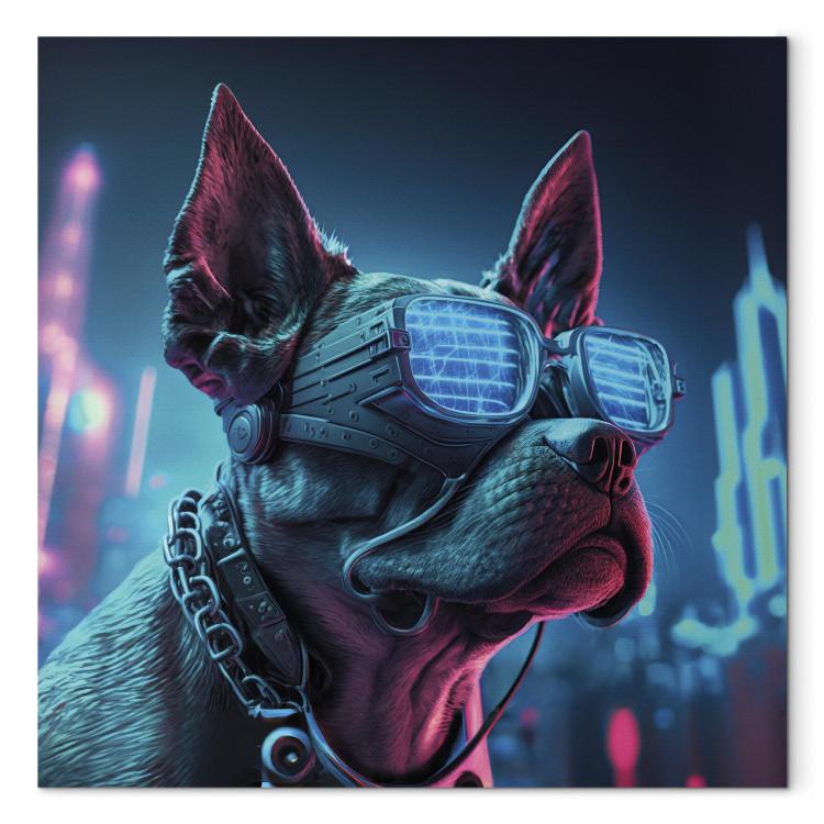 Canvas Print AI Dog Boston Terrier - Blue Animal in Glowing Glasses on City Neon Background - Square