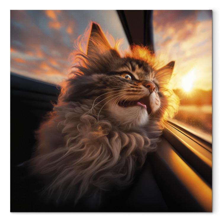 Canvas Print AI Maine Coon Cat - Animal on a Journey to the Setting Sun - Square