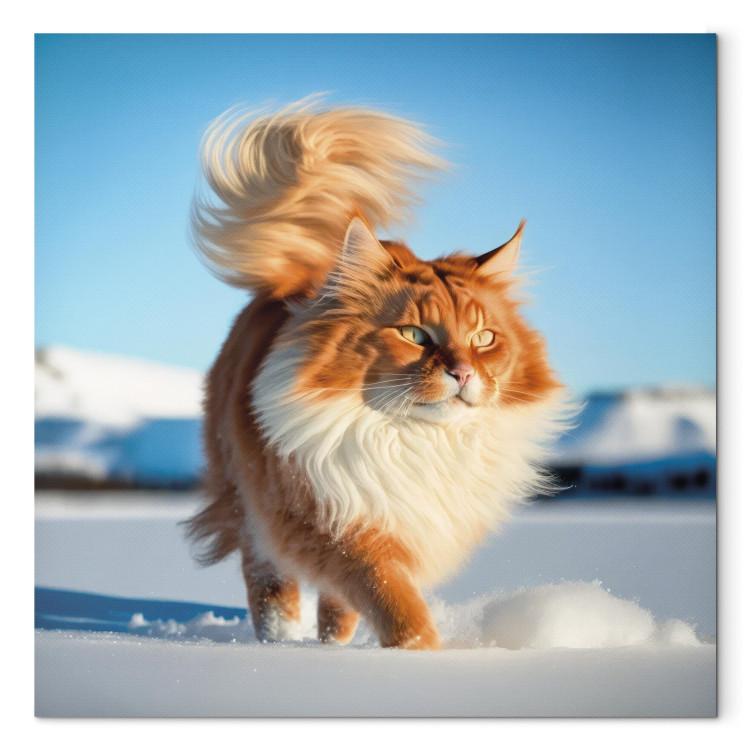 Canvas Print AI Norwegian Forest Cat - Long Haired Animal Walking on Snow - Square