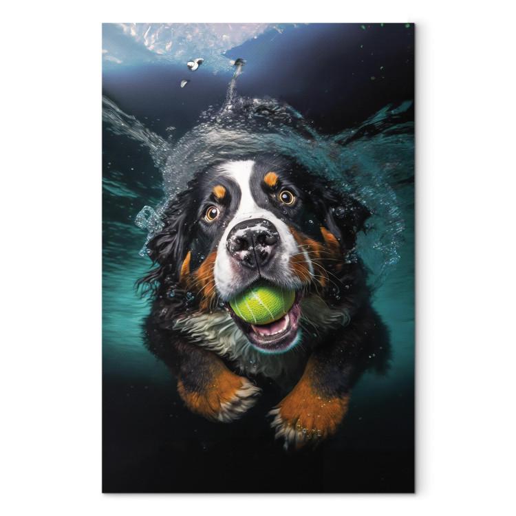 Canvas Print AI Bernese Mountain Dog - Floating Animal With a Ball in Its Mouth - Vertical