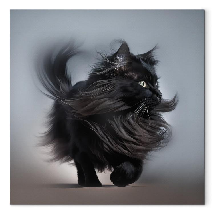 Canvas Print AI Maine Coon Cat - Walking Animal With Long Black Hair - Square