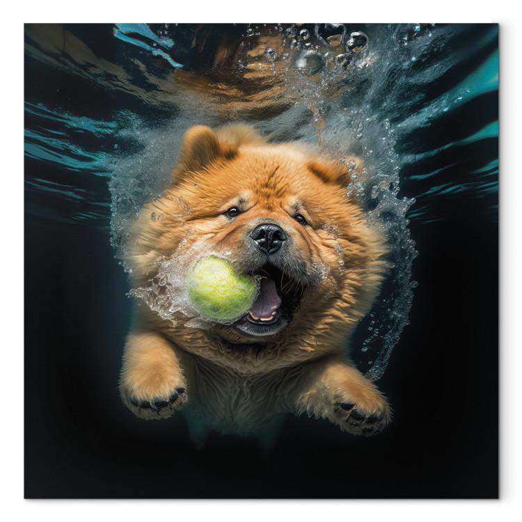 Canvas Print AI Dog Chow Chow - Floating Animal With a Ball in Its Mouth - Square