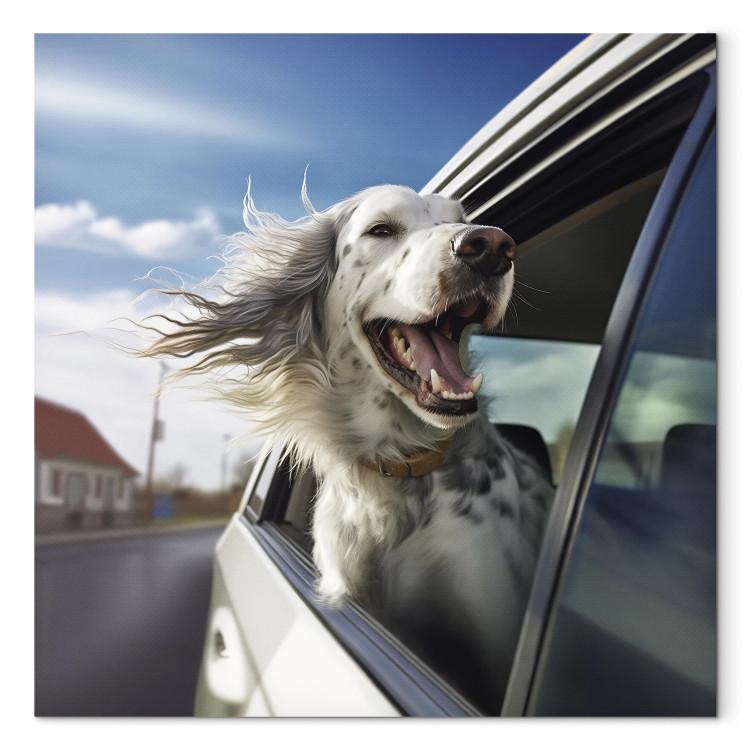 Canvas Print AI Dog English Setter - Animal Catching Air Rush While Traveling by Car - Square