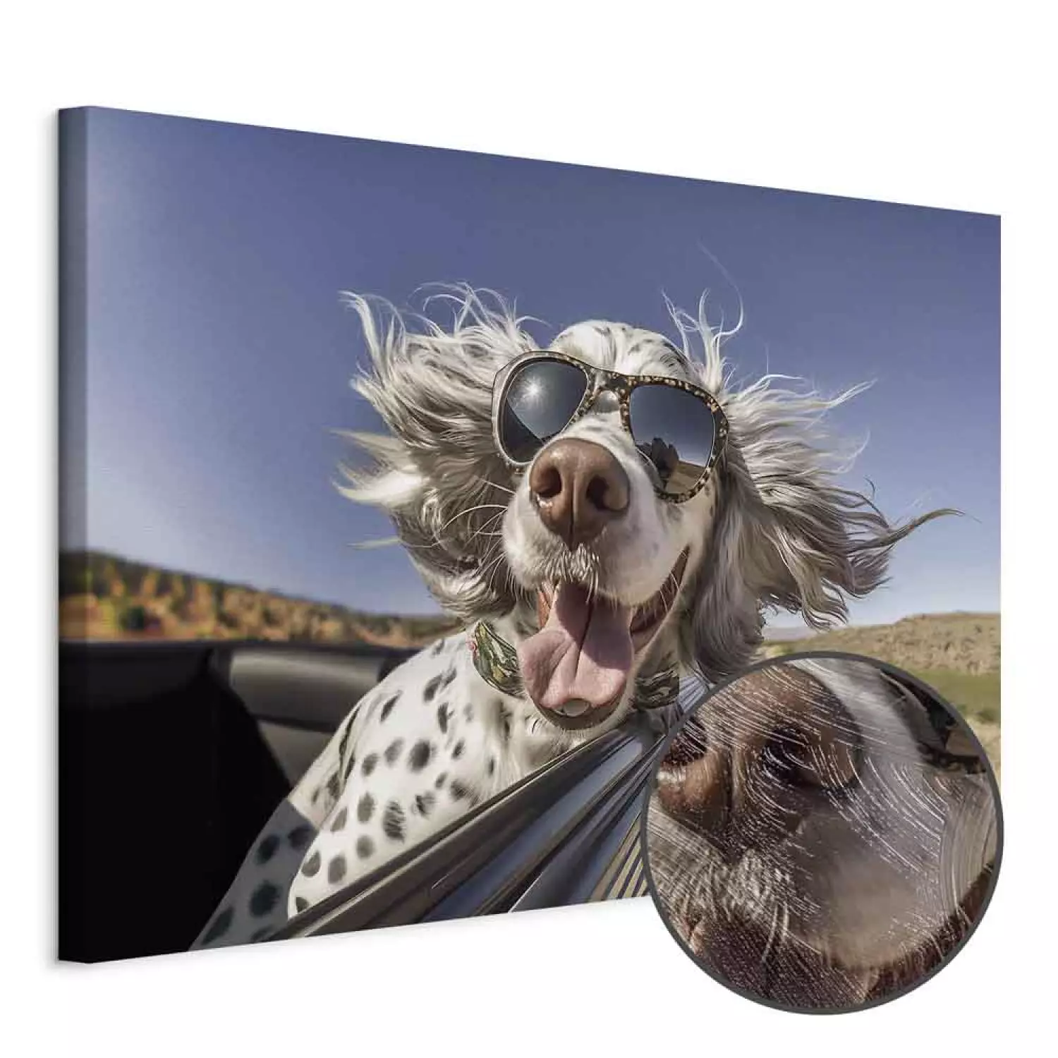 Etrarium 　Daydreamer Canvas ORIENTALNY DYWAN Z WISKOZY KOLOROWE DYWANY VINTAGE DO SALONU
