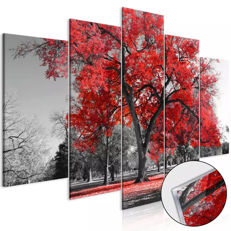 Acrylic Print Autumn in the Park - Red [Glass]