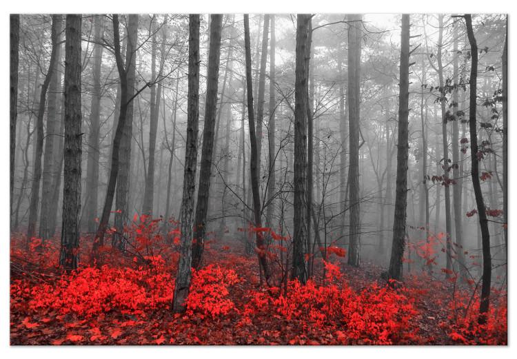 Large canvas print Crimson Forest [Large Format]