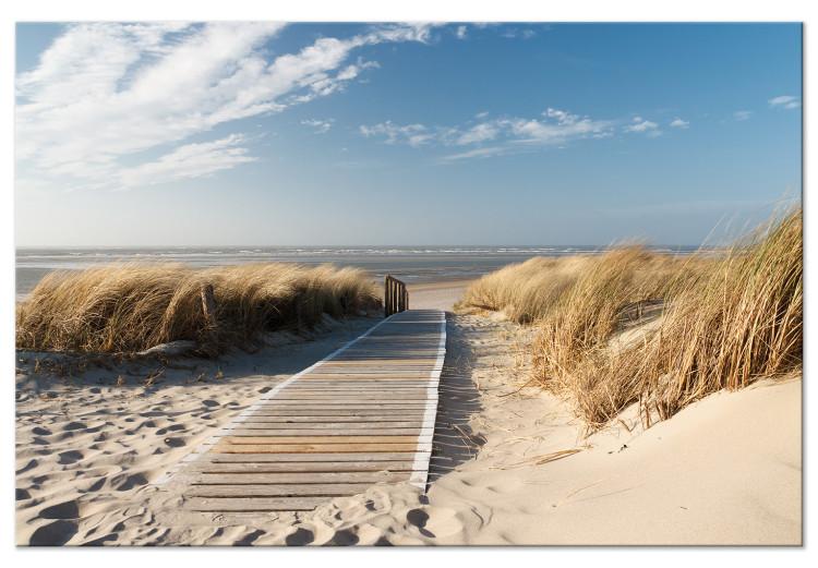 Large canvas print Beach Pathway [Large Format]