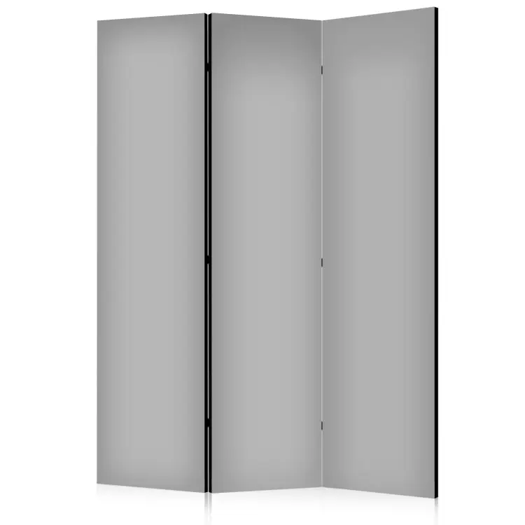 Room Divider Solid Grey - pure gray color as the main motif - bimago