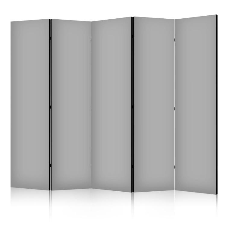 Room Divider Solid Grey II [Room Dividers]