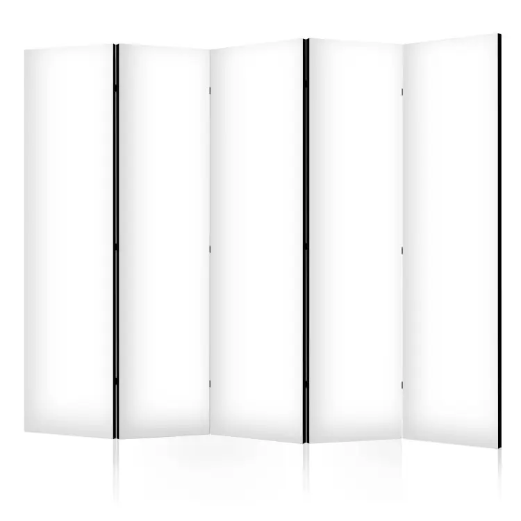 Solid White II - pure white as the main motif