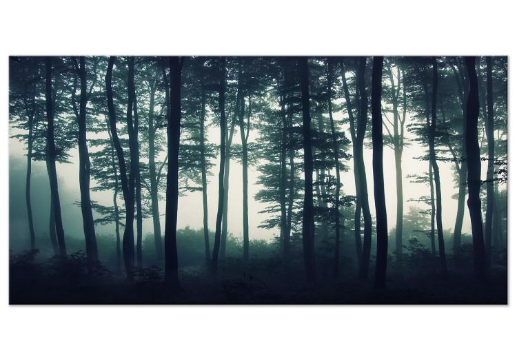 Large canvas print Forest in the Mist II [Large Format]