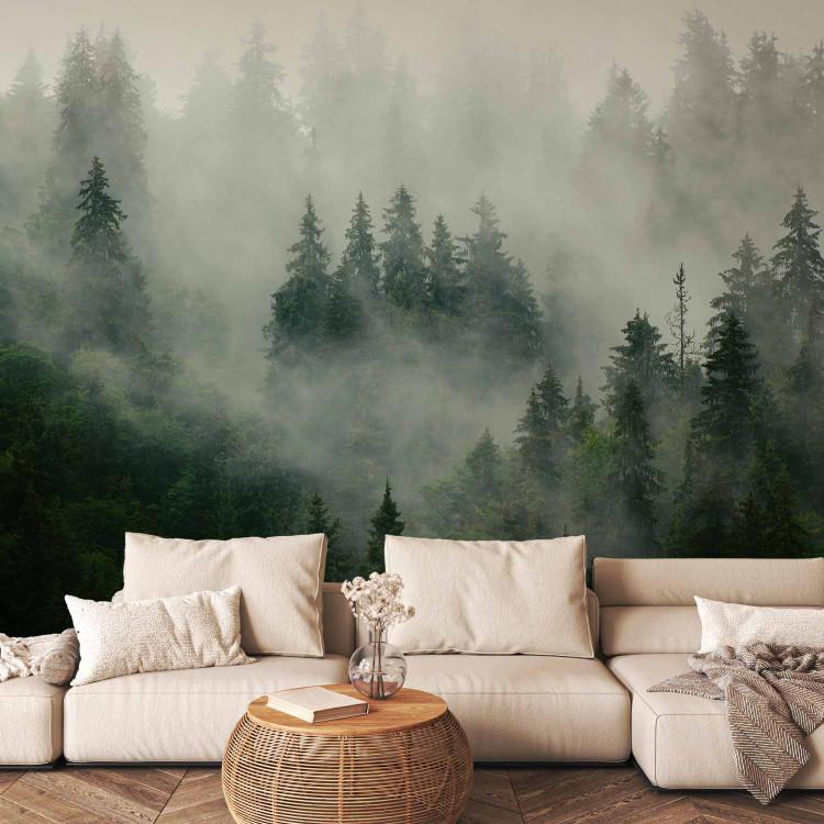 Wall Mural Coniferous Forest