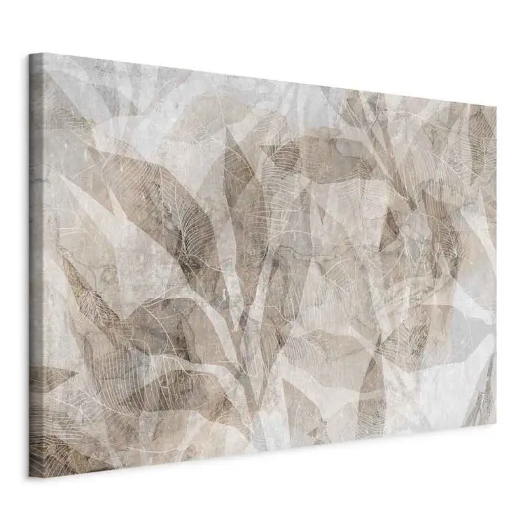 Shadow Abstraction - Interwoven Shapes and Beige Outline of Leaves