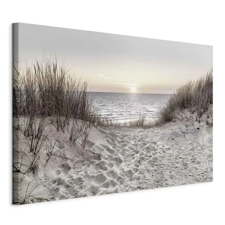 Dream About the Beach - Seascape With the Rising Sun