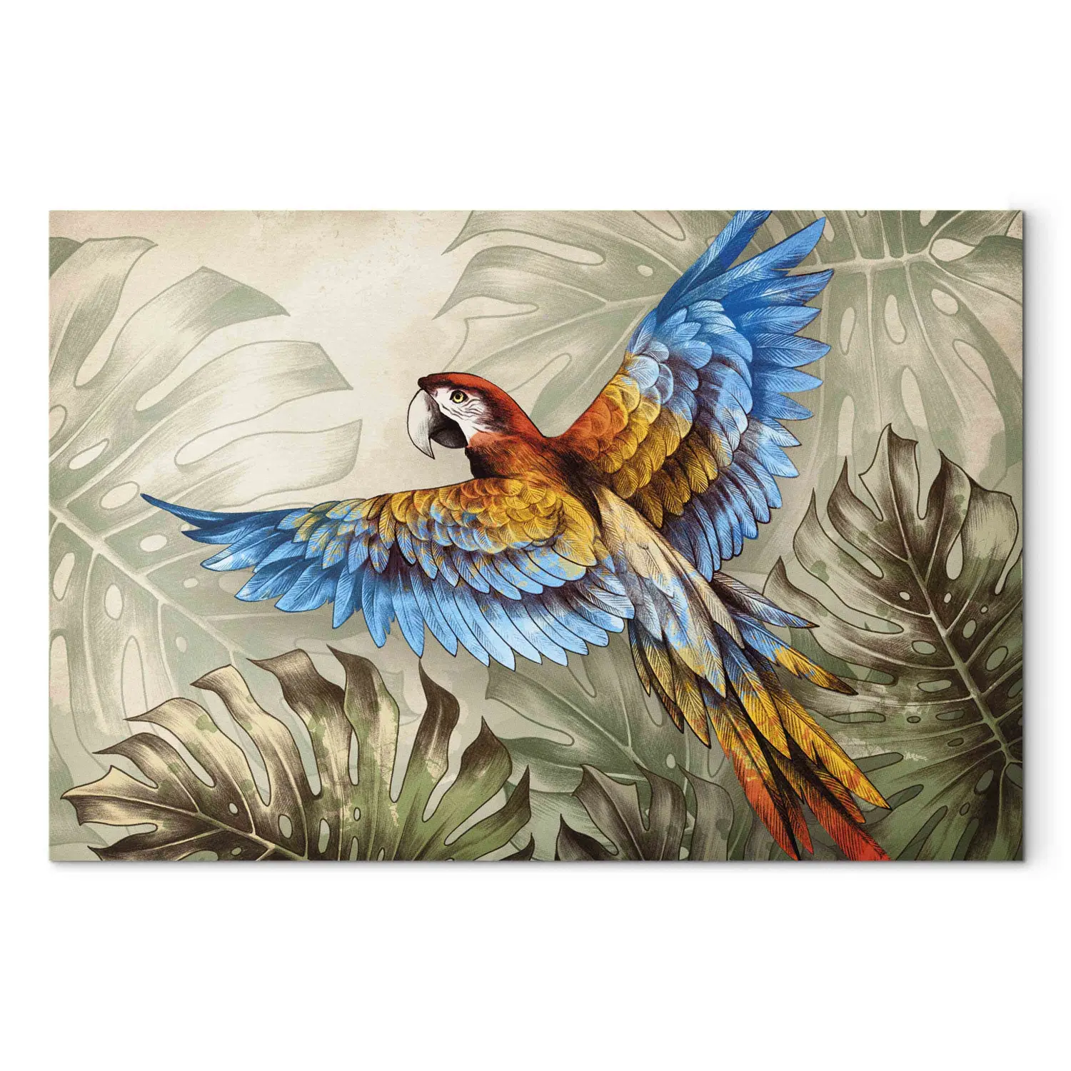 Montanari Papagallo 油彩画 50x70 cm cec0132a33ae524529e4e08266f2c1
