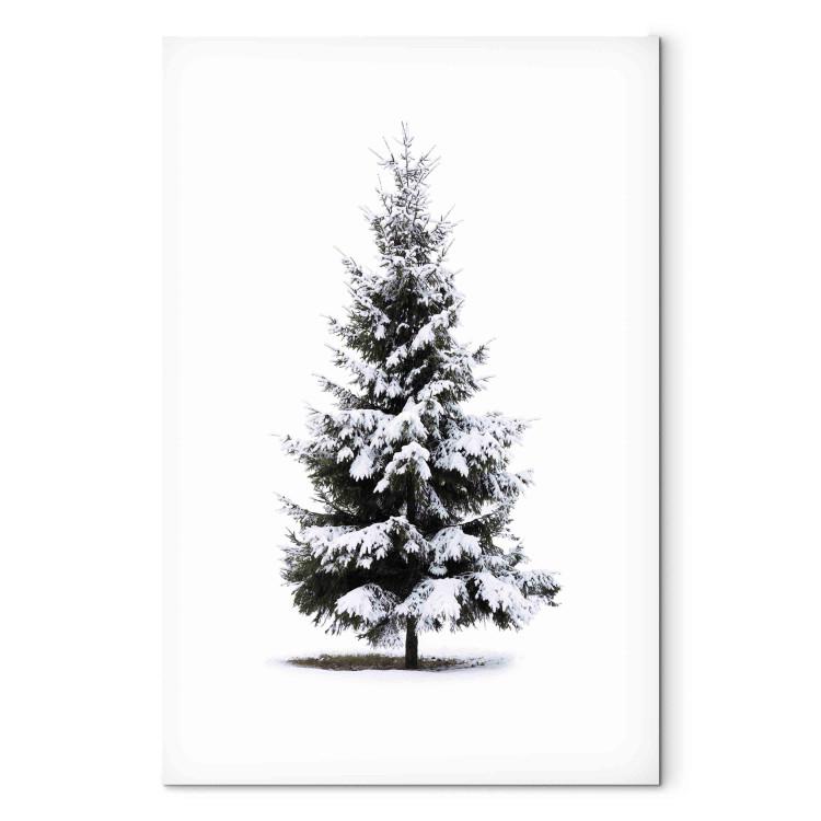 Canvas Print Winter Tree - Spruce Covered With Snow on a White Snowy Background