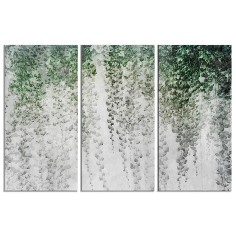 Canvas Print Ivy Oasis - Composition With Leaves Spread on the Wall