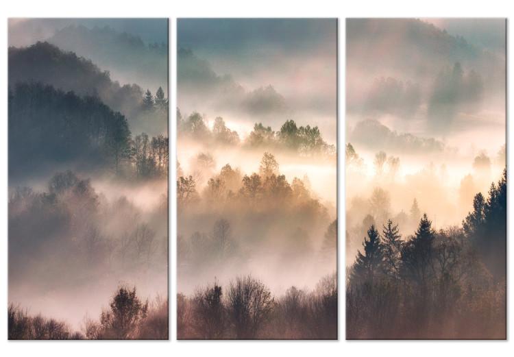 Canvas Print Forest in Mist - Mountainous Landscape With Trees at Sunrise