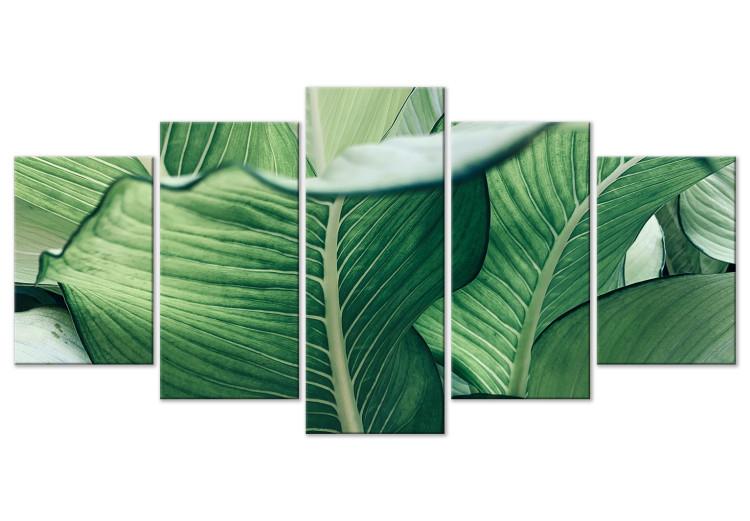 Canvas Print Luscious Nature - Large Leaves in Expressive Shades of Green