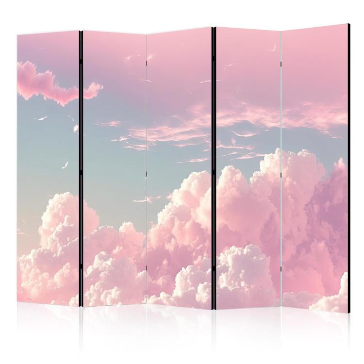 Room Divider Sky Landscape - Pink Clouds on a Blue Horizon II [Room Dividers]