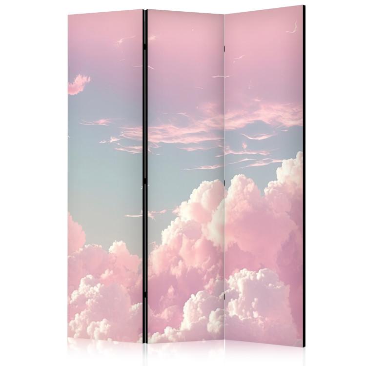 Room Divider Sky Landscape - Pink Clouds on a Blue Horizon [Room Dividers]
