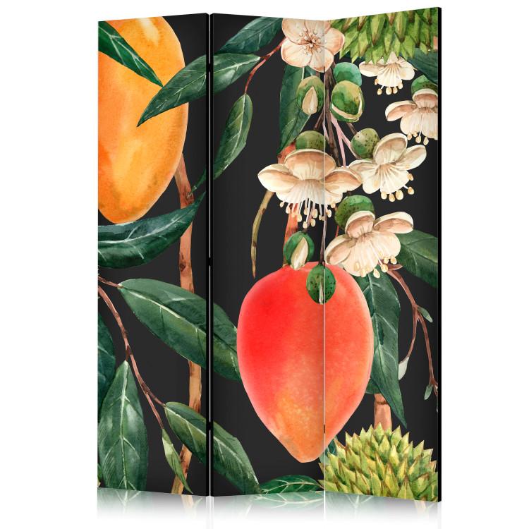 Room Divider Exotic Fruits - Colorful Tropical Flora [Room Dividers]