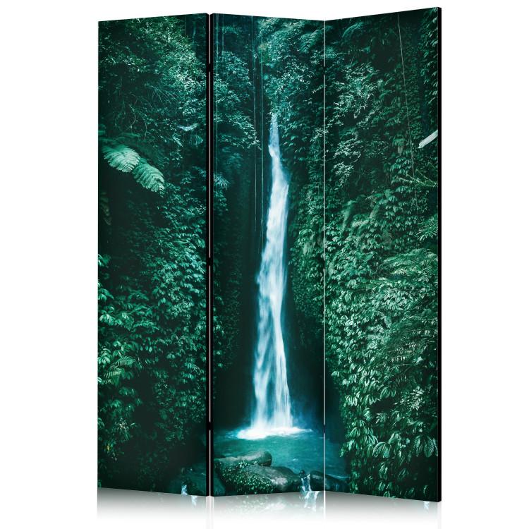 Room Divider Tropical Waterfall - Landscape in Dark Green [Room Dividers]