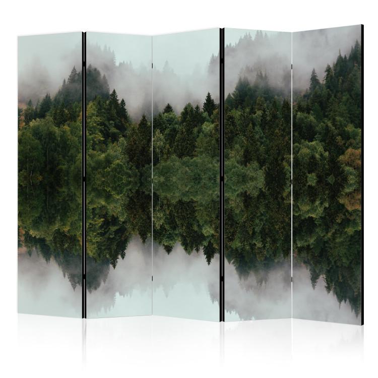 Room Divider Fog in the Forest - Atmospheric Landscape With Trees II [Room Dividers]
